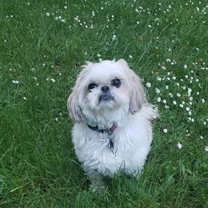 Meet your Posher, Maribel